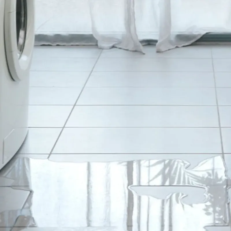 Appliance Leak Cleanup in Chester County, TN