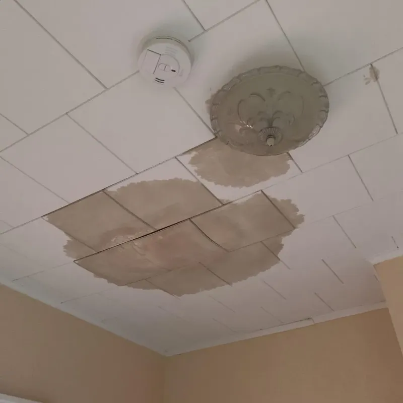 Ceiling Water Damage Repair in Chester County, TN
