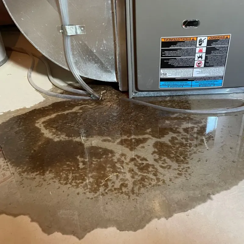 Pipe Burst and Leak Restoration in Chester County, TN