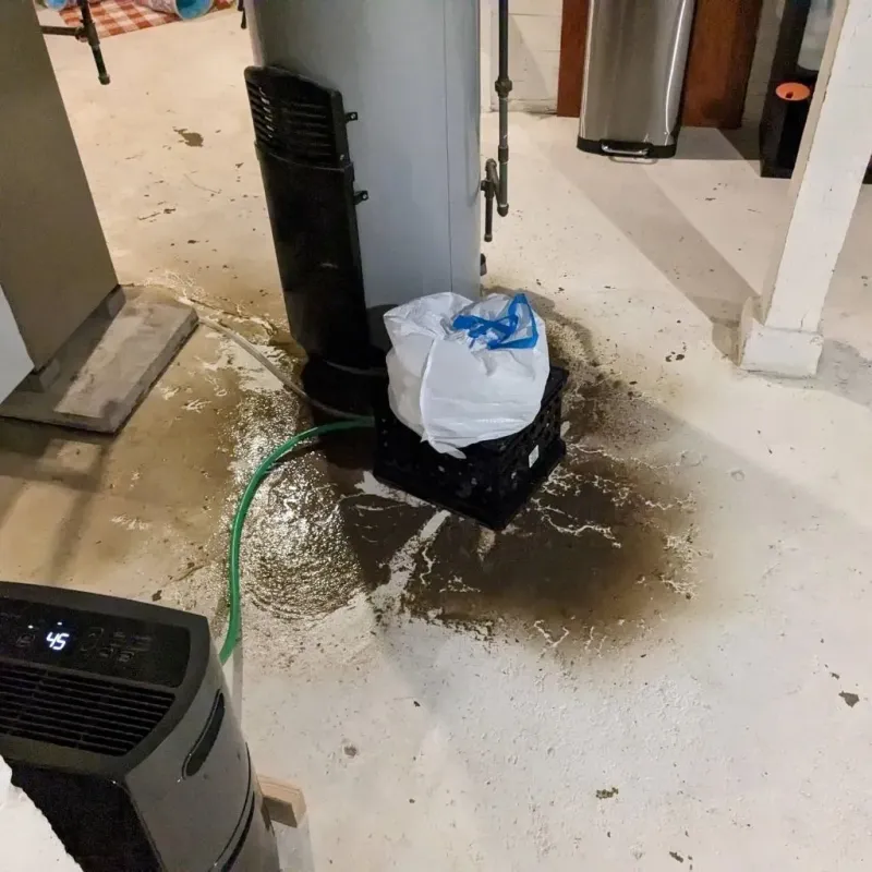 Sewage Backup Cleanup Service in Chester County, TN